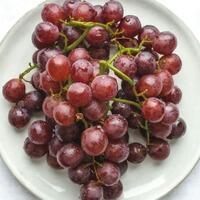 купить Виноград Виноград заказать доставку ROJO ресторан Алматы
